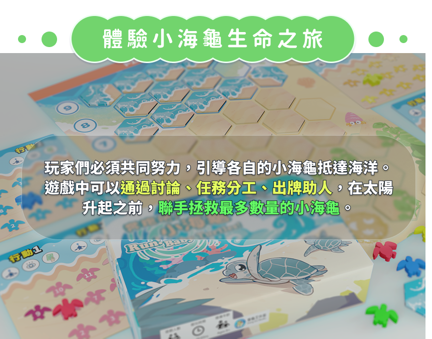 體驗小海龜生命之旅